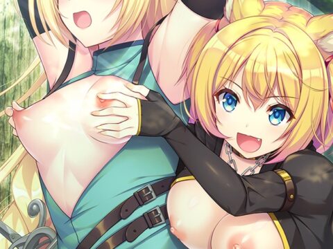 エルフとケモミミ ～ヤればヤるほど強くなる！～