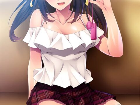 ご主人様は妹ですか？ ～Ｍっ娘好きの俺が、なんで妹のＭ男に！？～