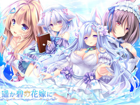 遥か碧の花嫁に