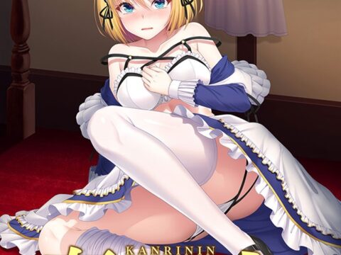 姦裏人 偽りのメイドは裏切りに染まる