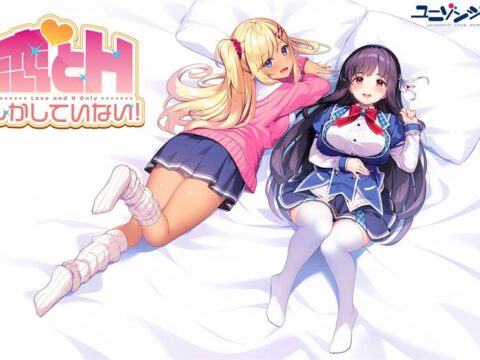 恋とHしかしていない！