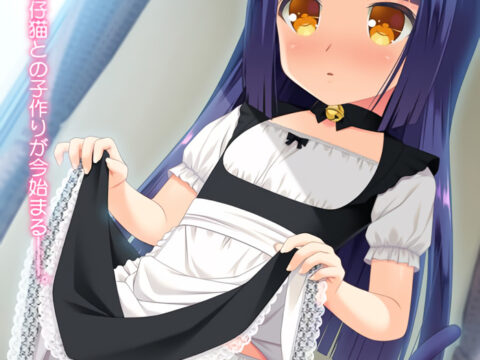 仔猫と家族計画