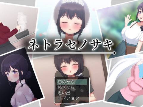 ネトラセノサキ