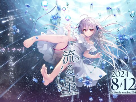 流る星 -a wish star-