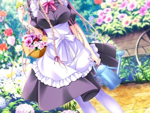 Anabel Maid Garden (アナベル・メイドガーデン)