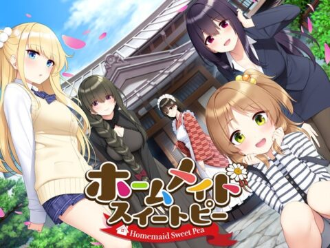 Homemaid Sweet Pea (ホームメイドスイートピー)