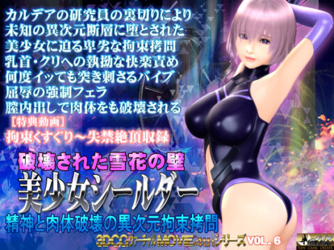 Destroyed Wall of Snowflakes - The Beautiful Shielder