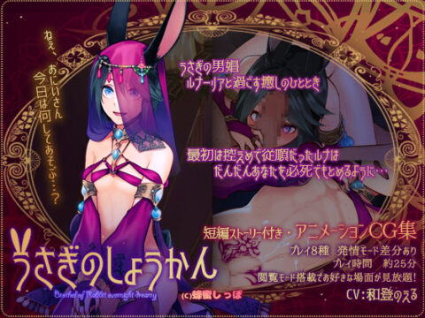 Rabbit Brothel Overnight Dreamy