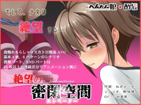 The Elevator of Despair