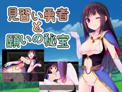 見習い勇者と願いの秘宝