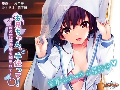 Onii-chan, Tetsudatte! ~Yoru no Hanayome Shuugyou o Tanomarete…~