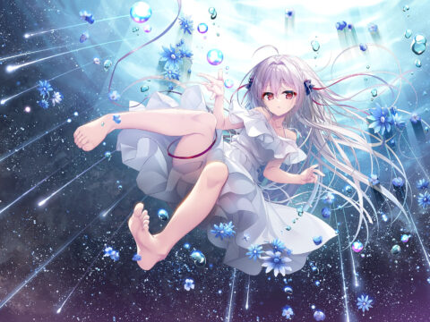 流る星-a Wish Star-