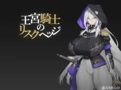 王宮騎士のリスクヘッジ