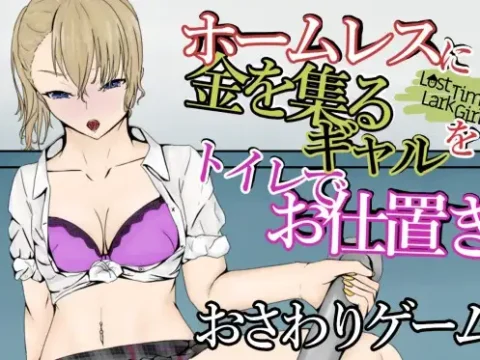 LostTimeLarkGirl~ホームレスに突っかかるギャルを多目的トイレでお仕置き~
